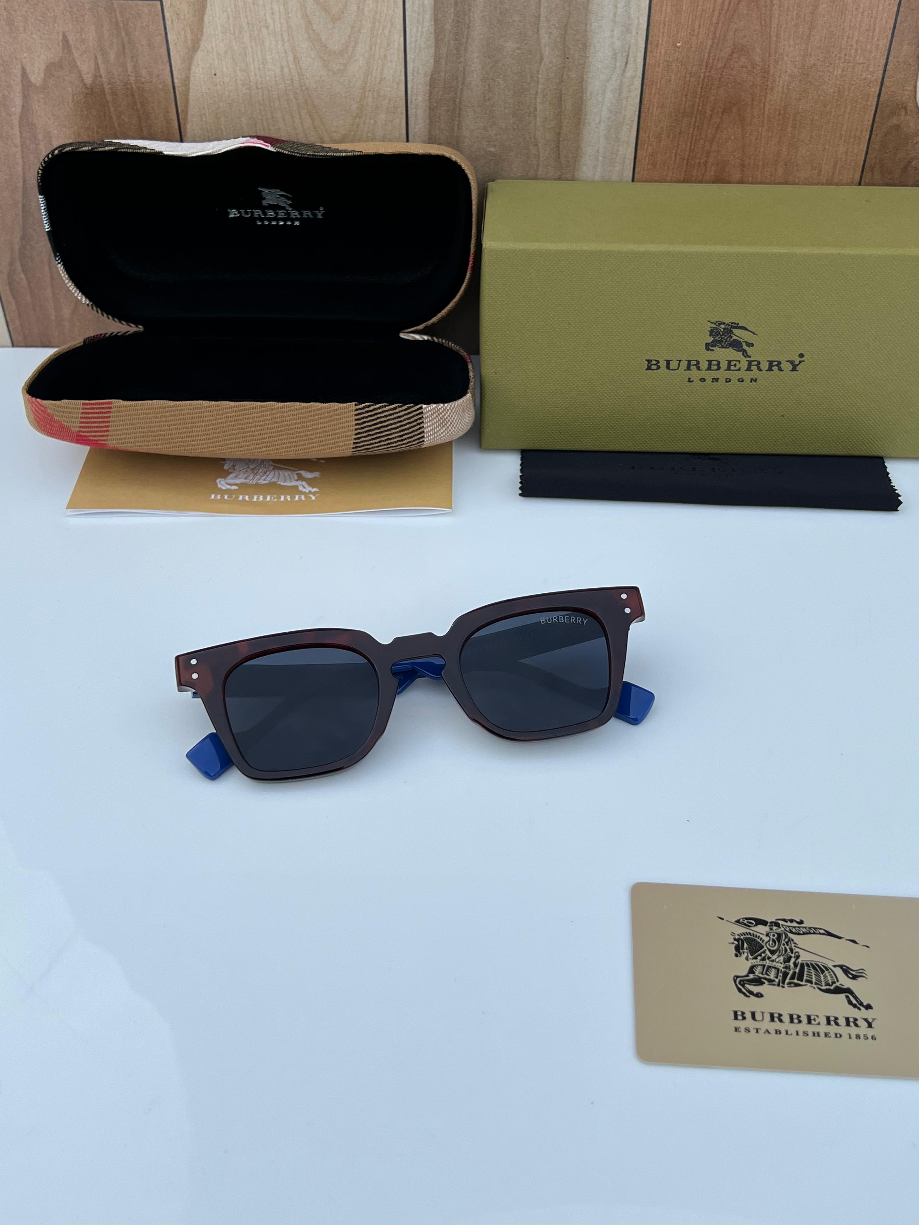 Bur 2001 BROWN BLUE A